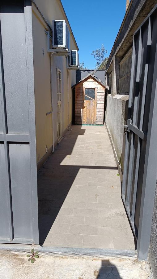 Casa Dani Διαμέρισμα Tarquinia Εξωτερικό φωτογραφία
